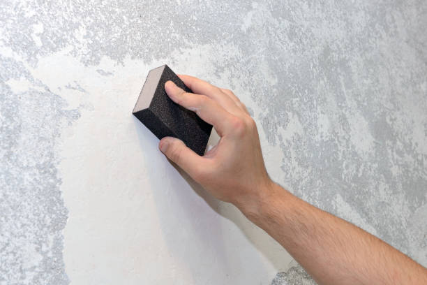  Cass City, MI Mold Removal Pros