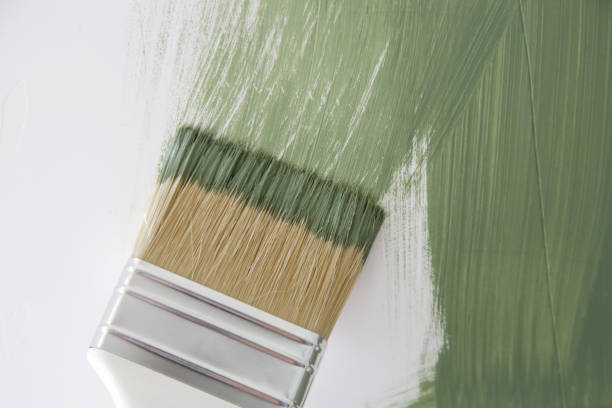 Best Water Damage & Mold Remediation  in Cass City, MI