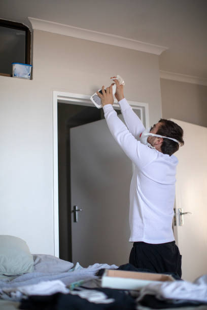 Best Commercial Mold Inspection  in Cass City, MI
