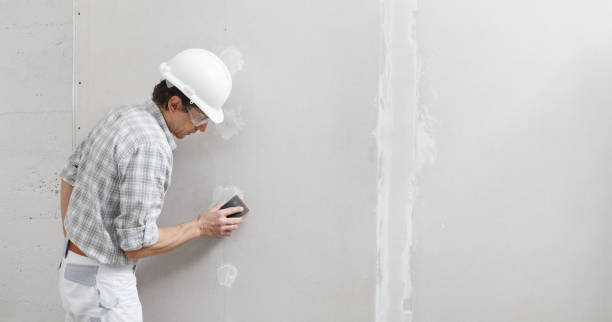 Best Commercial Mold Inspection  in Cass City, MI
