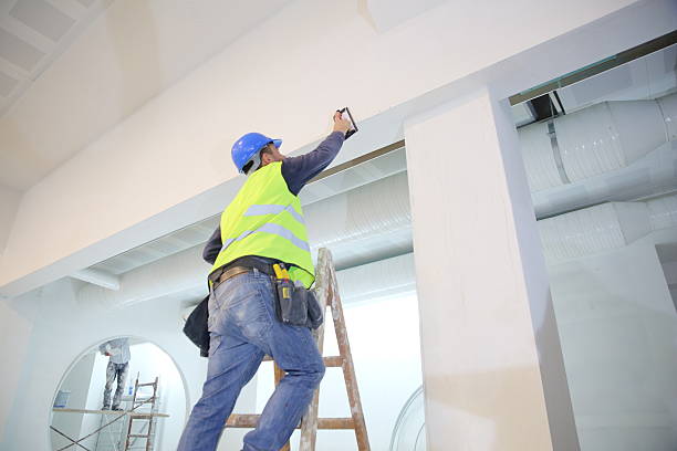 Best Asbestos and Lead Testing During Mold Inspection  in Cass City, MI