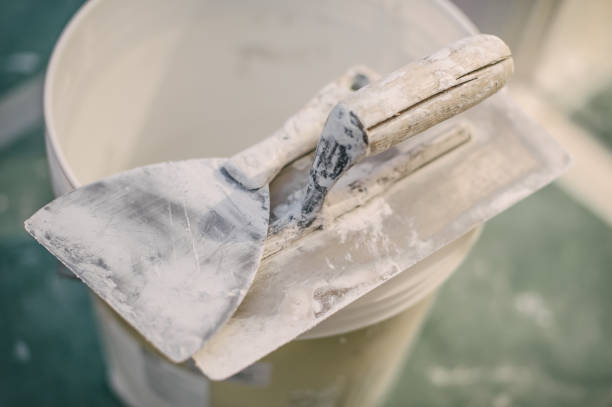 Best Airborne Mold Testing  in Cass City, MI