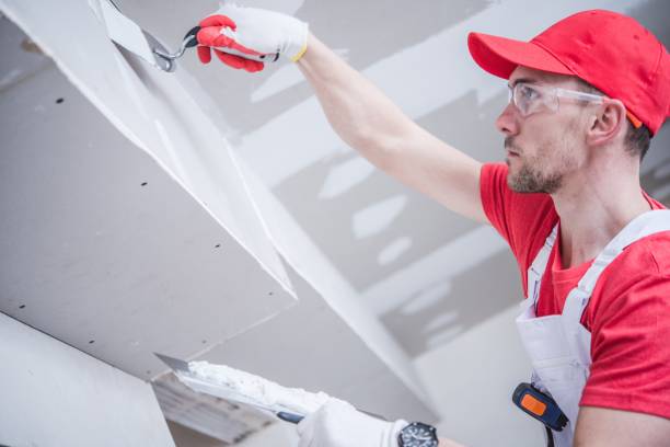 Best Biohazard Mold Removal  in Cass City, MI