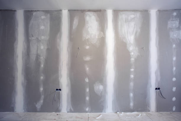 Best Mold Remediation for Healthcare Facilities  in Cass City, MI